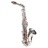 Professional Alto Saxophone Nickel Polish With Hard Case,Belt And Extra Reed