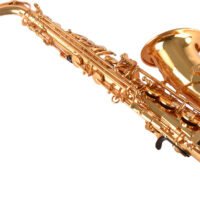 Professional Alto Saxophone Gold, Leather Case, Mouthpiece, Polishing