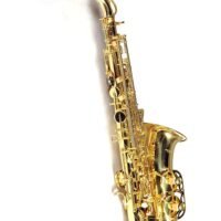 Professional Alto Saxophone,Super Special Quality, Brass polish with Extra Item Like Hardcase +Reeds+Belt+Pad+Gloves