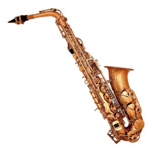 Professional Alto Saxophone – Gold Lacquer Finish with Carry Case