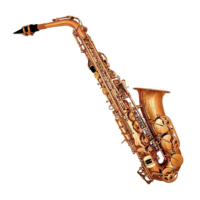 Professional Alto Saxophone – Gold Lacquer Finish with Carry Case