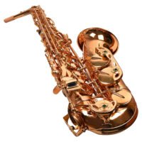 Professional Alto Saxophone Gold, Leather Case, Mouthpiece, Polishing colour yellow
