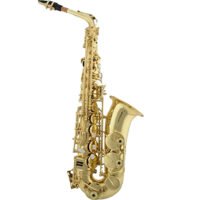 Professional Alto Saxophone Gold, Leather Case, Mouthpiece, Polishing