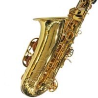 Professional Alto Saxophone,Super Special Quality, Brass polish with Extra Item Like Hardcase +Reeds+Belt+Pad+Gloves