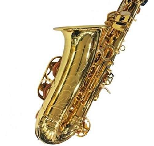 Professional Alto Saxophone,Super Special Quality, Brass polish with Extra Item Like Hardcase +Reeds+Belt+Pad+Gloves - Image 3